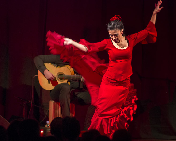 Flamenco Namiętnie